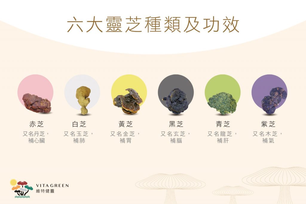 接種疫苗-免疫力-提升免疫力-靈芝-靈芝功效-五色靈芝-六大功效
