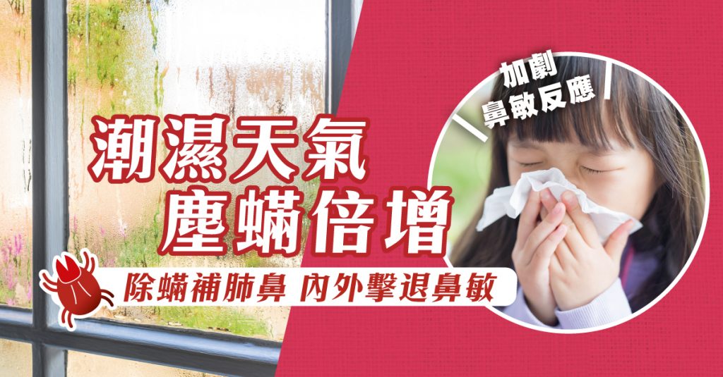 潮濕 塵蟎 鼻敏 