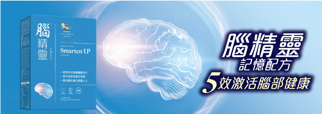 腦精靈-腦退化-腦霧-記憶力-腦部健康-blog