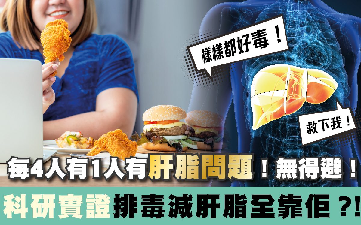 排毒減肝脂