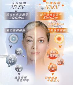 沒有服用NMN vs 持續服用NMN