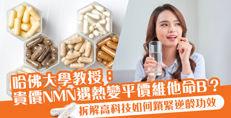 抗老 NMN 會變維他命B?