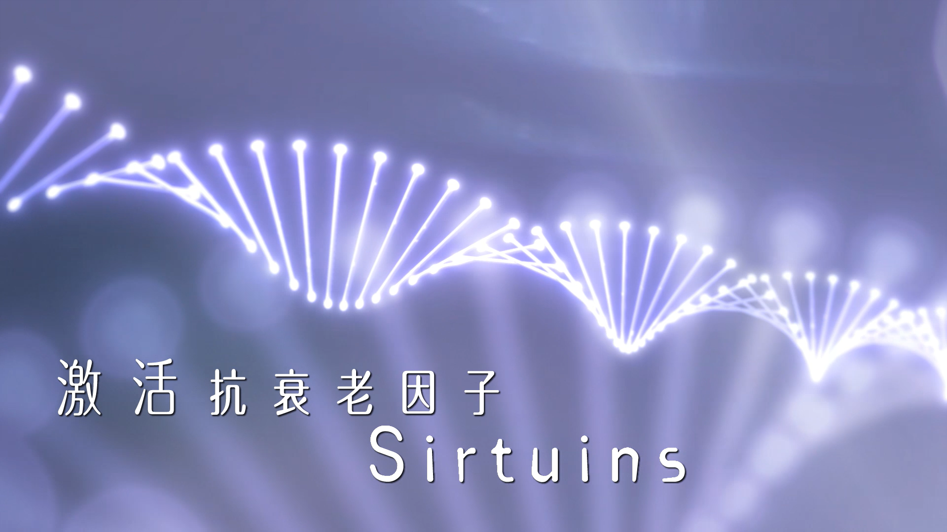 抗衰老因子Sirtuins