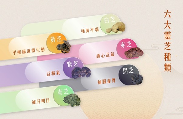 五色靈芝邊隻好?五色靈芝功效好處,赤芝、青芝、黃芝、白芝、黑芝、紫芝有何不同?