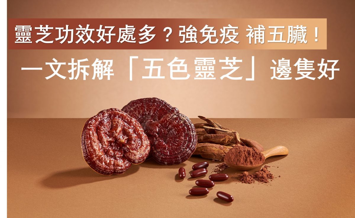 五色靈芝邊隻好?一文拆解五色靈芝好唔好、大學靈芝好唔好、十色靈芝好唔好?