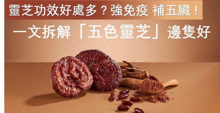 五色靈芝邊隻好？一文拆解五色靈芝好唔好、大學靈芝好唔好、十色靈芝好唔好？